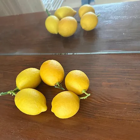 בית הארחה Lemon House מונטבלונה
