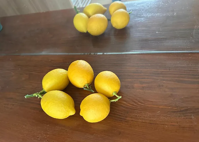 בית הארחה Lemon House מונטבלונה