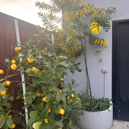 Casa de hóspedes Lemon House 3*