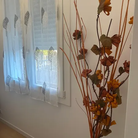 Lemon House Montebelluna